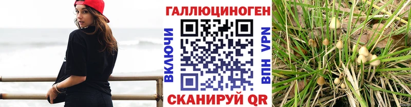 Галлюциногенные грибы Magic Shrooms  Купить закладки  Инта 